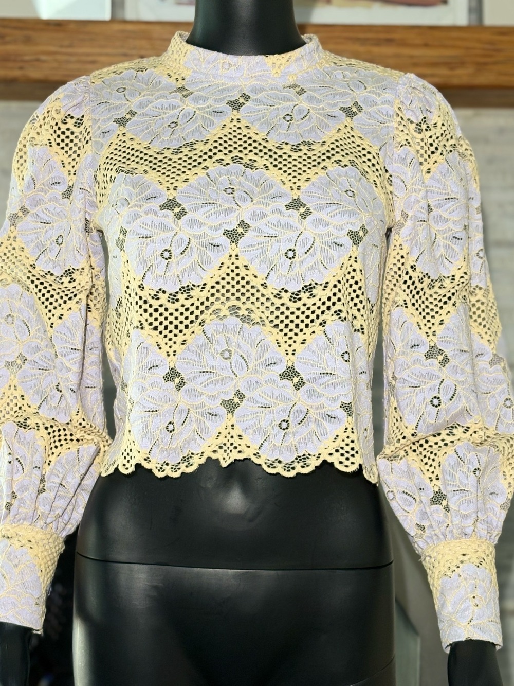 Dolan Left Coast Mock-Neck Lace Blouse (Anthropologie) - Size XXS